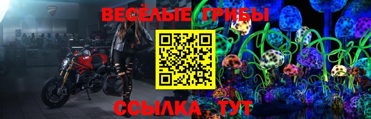 Псилоцибиновые грибы Cubensis Мирный